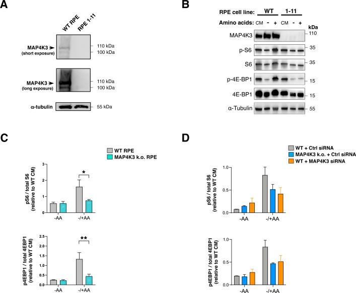 https://cdn.ncbi.nlm.nih.gov/pmc/blobs/f651/10205607/dfb9c3b62a34/LSA-2022-01525_FigS2.jpg