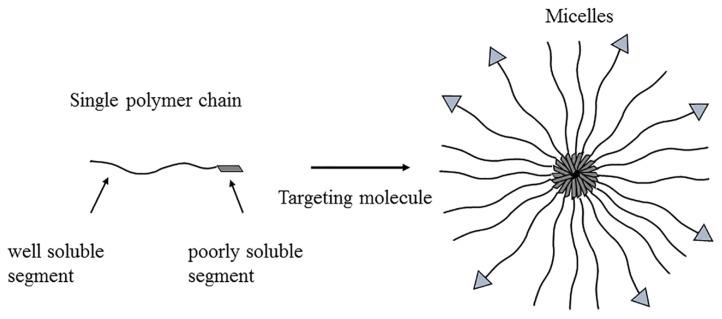 https://cdn.ncbi.nlm.nih.gov/pmc/blobs/f653/7024198/0d0df7562798/molecules-25-00332-g008.jpg