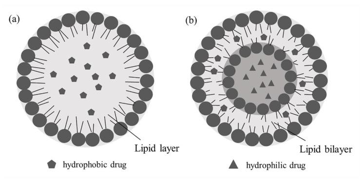 https://cdn.ncbi.nlm.nih.gov/pmc/blobs/f653/7024198/1dc83deee03d/molecules-25-00332-g007.jpg
