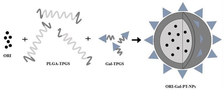 https://cdn.ncbi.nlm.nih.gov/pmc/blobs/f653/7024198/51606f6c488f/molecules-25-00332-g006.jpg