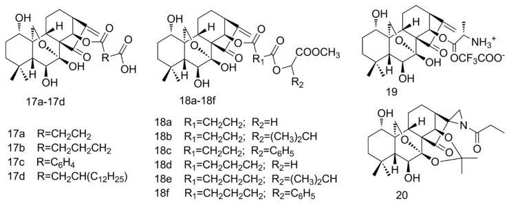 https://cdn.ncbi.nlm.nih.gov/pmc/blobs/f653/7024198/a08b394f36fc/molecules-25-00332-g005.jpg