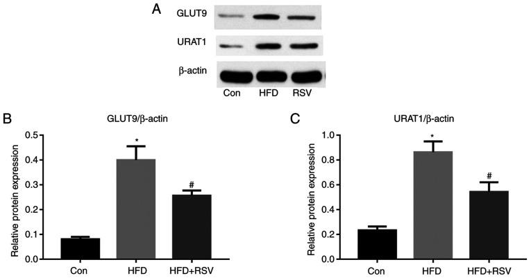 https://cdn.ncbi.nlm.nih.gov/pmc/blobs/f654/8201466/2d715cd7d0ed/mmr-24-02-12203-g04.jpg