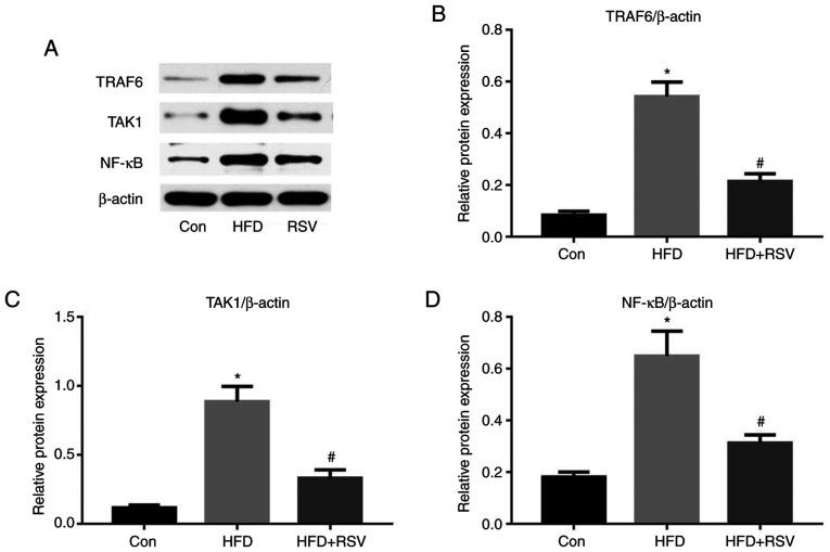 https://cdn.ncbi.nlm.nih.gov/pmc/blobs/f654/8201466/58b48e54ec09/mmr-24-02-12203-g07.jpg