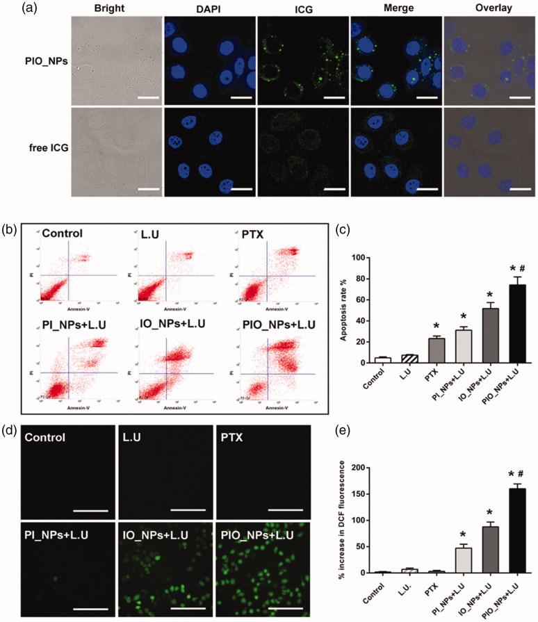 https://cdn.ncbi.nlm.nih.gov/pmc/blobs/f655/6201789/0c3333b7d6ea/IDRD_A_1507062_F0002_C.jpg