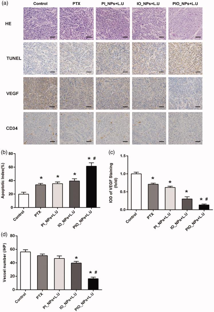 https://cdn.ncbi.nlm.nih.gov/pmc/blobs/f655/6201789/1e881c183458/IDRD_A_1507062_F0005_C.jpg