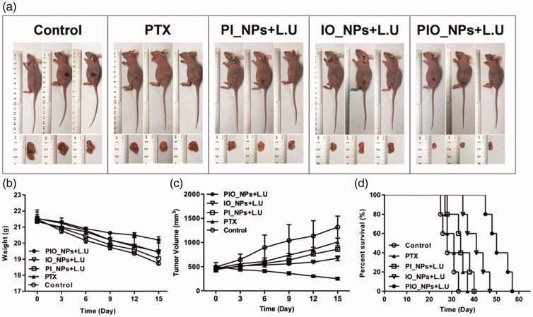 https://cdn.ncbi.nlm.nih.gov/pmc/blobs/f655/6201789/20ec7afc3998/IDRD_A_1507062_F0004_C.jpg