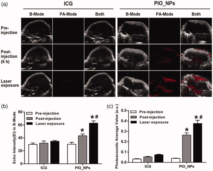 https://cdn.ncbi.nlm.nih.gov/pmc/blobs/f655/6201789/6888e8ef68da/IDRD_A_1507062_F0003_C.jpg