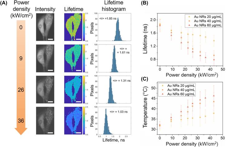 https://cdn.ncbi.nlm.nih.gov/pmc/blobs/f656/11501863/751b618582fa/j_nanoph-2022-0314_fig_003.jpg