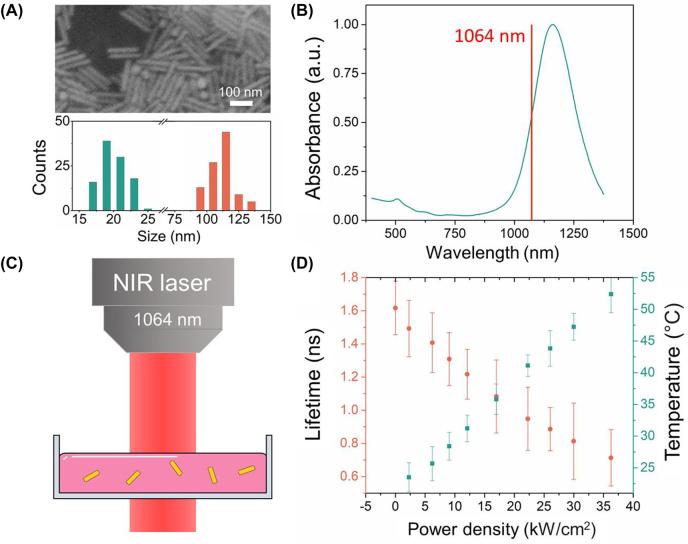 https://cdn.ncbi.nlm.nih.gov/pmc/blobs/f656/11501863/d4639c4e57f9/j_nanoph-2022-0314_fig_002.jpg