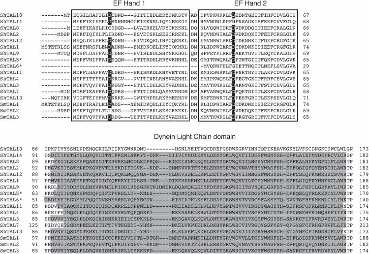 https://cdn.ncbi.nlm.nih.gov/pmc/blobs/f658/10212073/af3a770d3e46/ppat.1011037.g001.jpg