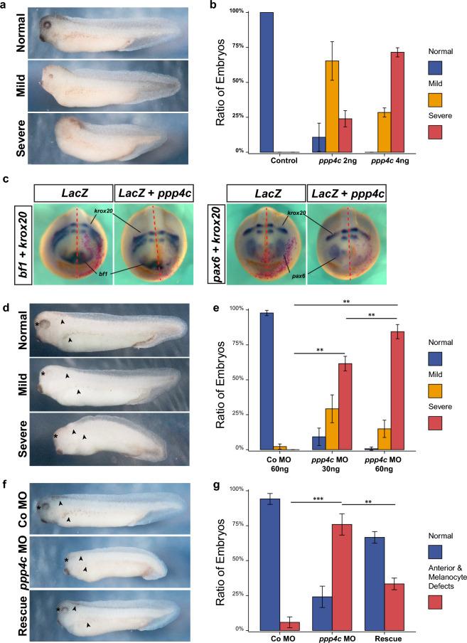 https://cdn.ncbi.nlm.nih.gov/pmc/blobs/f658/10290155/f92b702517b2/41598_2023_35719_Fig6_HTML.jpg