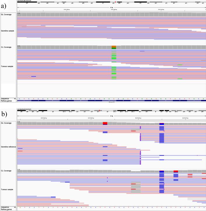 https://cdn.ncbi.nlm.nih.gov/pmc/blobs/f659/10116675/138b6ce76638/12859_2023_5255_Fig2_HTML.jpg