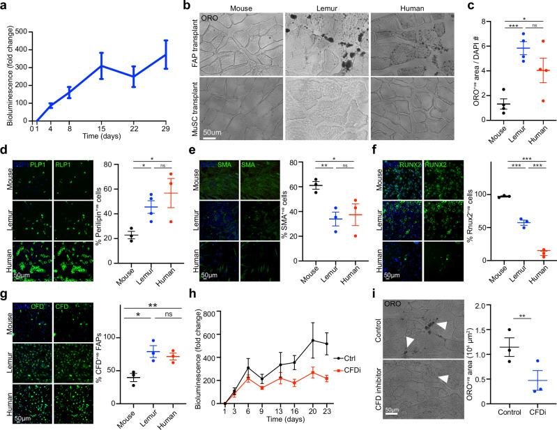 https://cdn.ncbi.nlm.nih.gov/pmc/blobs/f65a/12187938/606107436c70/41467_2025_58897_Fig3_HTML.jpg