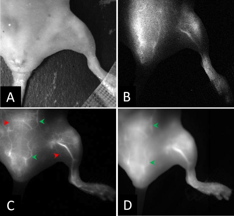https://cdn.ncbi.nlm.nih.gov/pmc/blobs/f65c/5679521/941187bc8158/pone.0187563.g006.jpg
