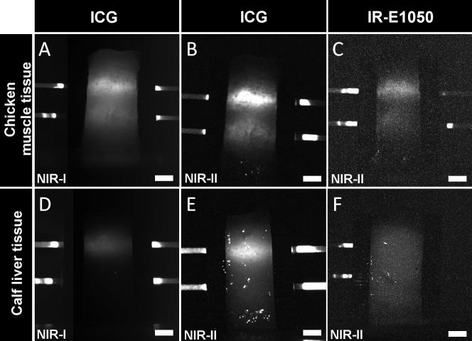 https://cdn.ncbi.nlm.nih.gov/pmc/blobs/f65c/5679521/978e81041e03/pone.0187563.g004.jpg