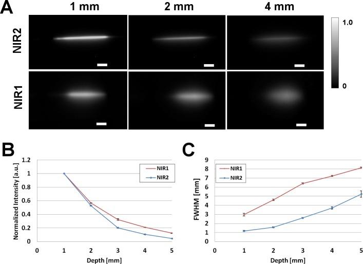 https://cdn.ncbi.nlm.nih.gov/pmc/blobs/f65c/5679521/ac7b5d820831/pone.0187563.g003.jpg