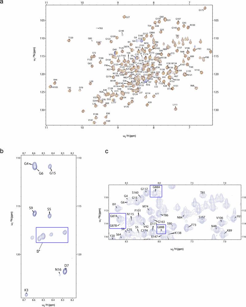 https://cdn.ncbi.nlm.nih.gov/pmc/blobs/f65f/11555324/300b7d55d3c9/42003_2024_7172_Fig2_HTML.jpg