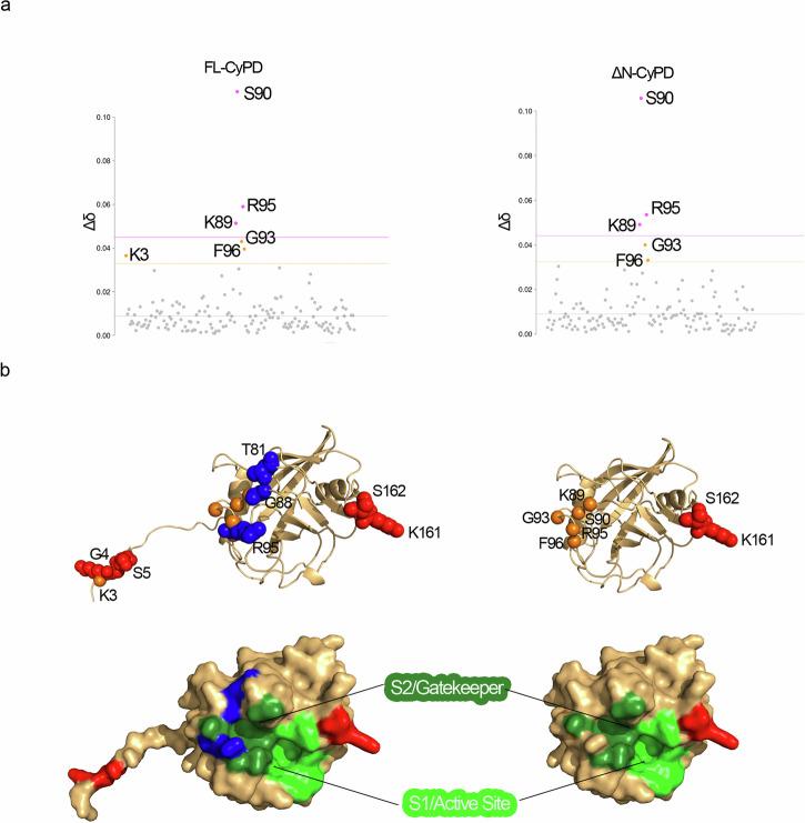 https://cdn.ncbi.nlm.nih.gov/pmc/blobs/f65f/11555324/8267e1014f7e/42003_2024_7172_Fig5_HTML.jpg