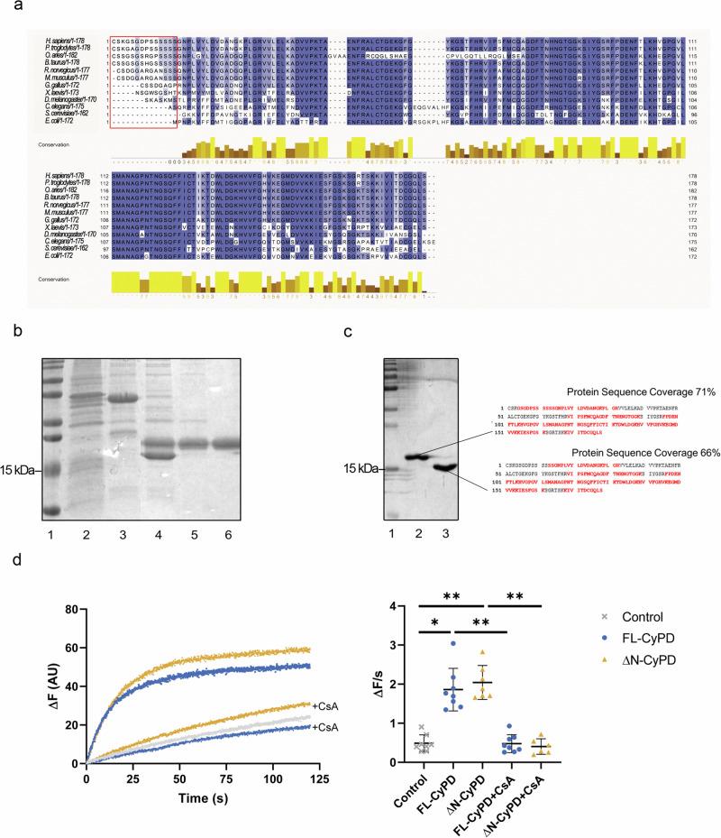 https://cdn.ncbi.nlm.nih.gov/pmc/blobs/f65f/11555324/b7cb2fcbd504/42003_2024_7172_Fig1_HTML.jpg