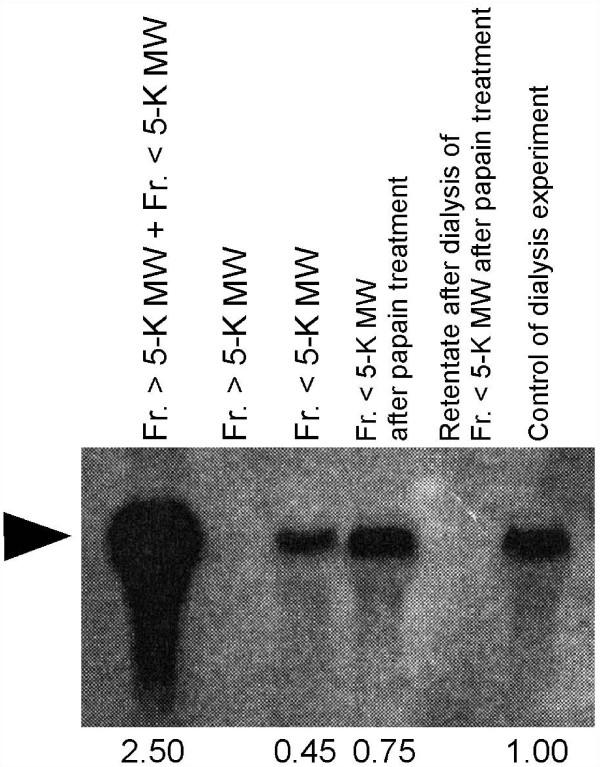 https://cdn.ncbi.nlm.nih.gov/pmc/blobs/f662/3215924/d03f0a9b54b1/1742-9994-8-23-7.jpg