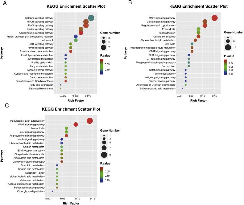 https://cdn.ncbi.nlm.nih.gov/pmc/blobs/f663/11652873/812e0ff0fe95/gr5.jpg