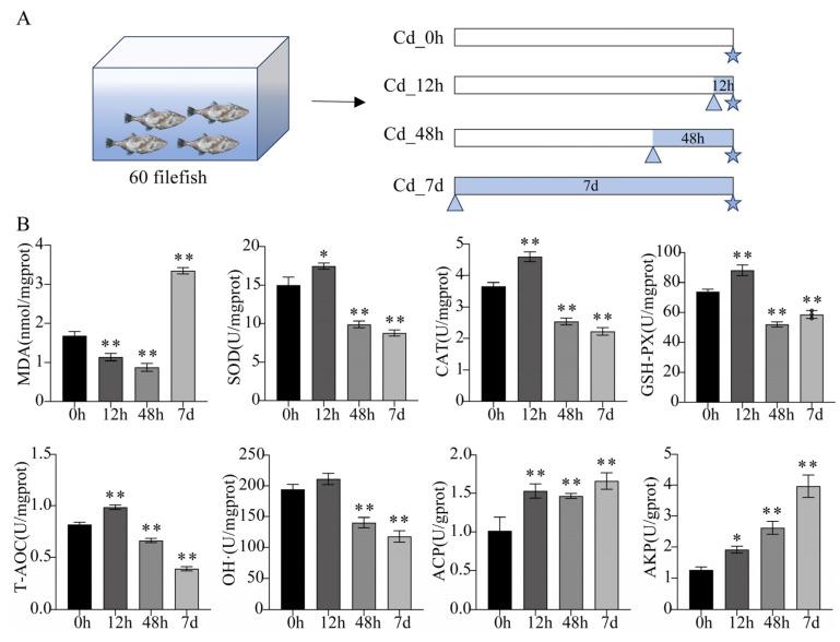 https://cdn.ncbi.nlm.nih.gov/pmc/blobs/f664/10886137/b45756498d7c/animals-14-00561-g001.jpg
