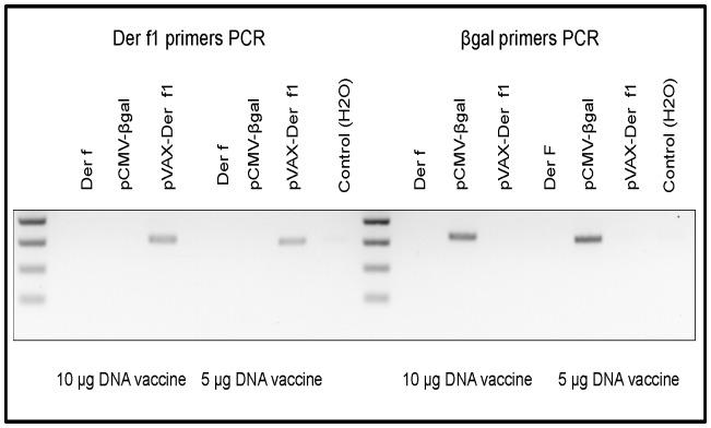 https://cdn.ncbi.nlm.nih.gov/pmc/blobs/f665/3908923/fb8a4cbf3115/pone.0085976.g002.jpg