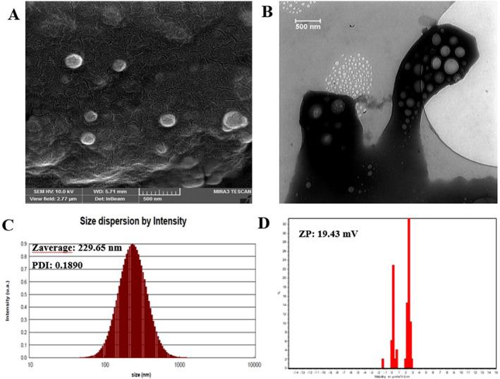 https://cdn.ncbi.nlm.nih.gov/pmc/blobs/f667/10374556/08b8f8cb4d9c/NBT2-17-425-g008.jpg