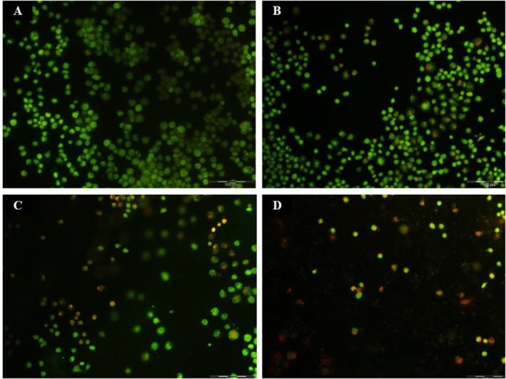 https://cdn.ncbi.nlm.nih.gov/pmc/blobs/f667/10374556/fbae64129db0/NBT2-17-425-g003.jpg