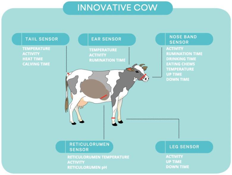 https://cdn.ncbi.nlm.nih.gov/pmc/blobs/f668/10000156/4a594646e762/animals-13-00780-g001.jpg