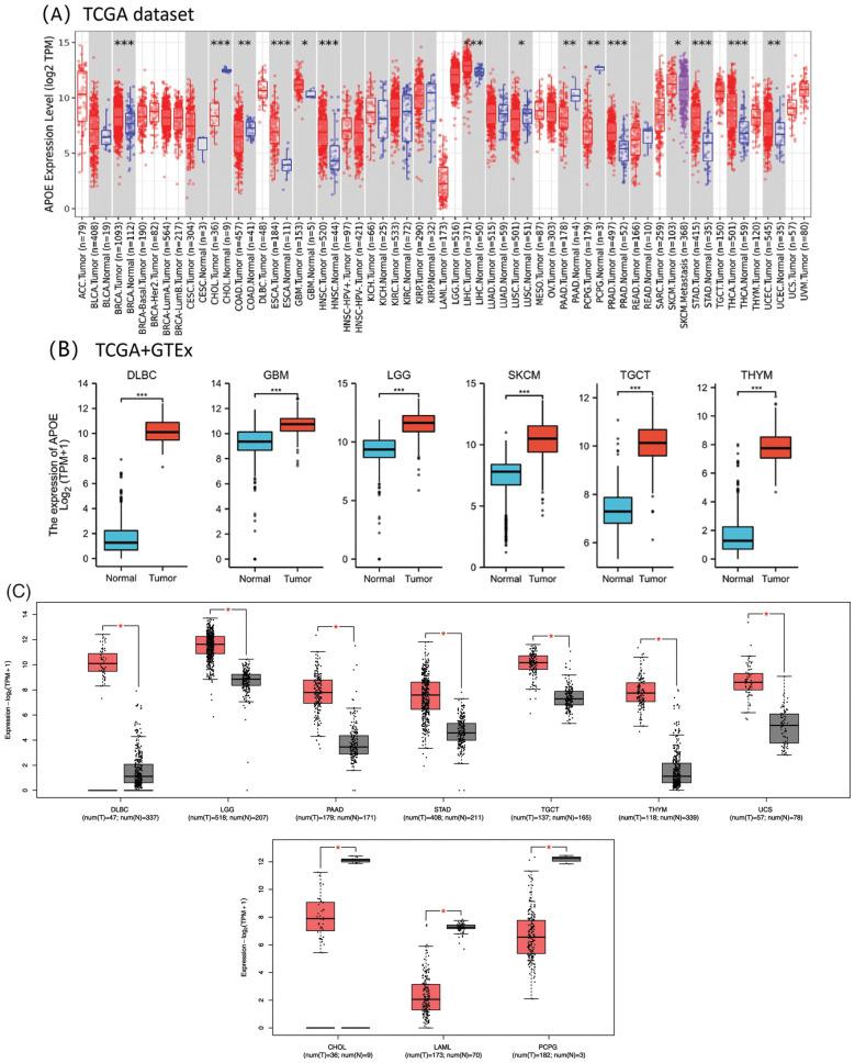 https://cdn.ncbi.nlm.nih.gov/pmc/blobs/f668/10207989/245bdb46c031/OncolRes-30-26141-f001.jpg
