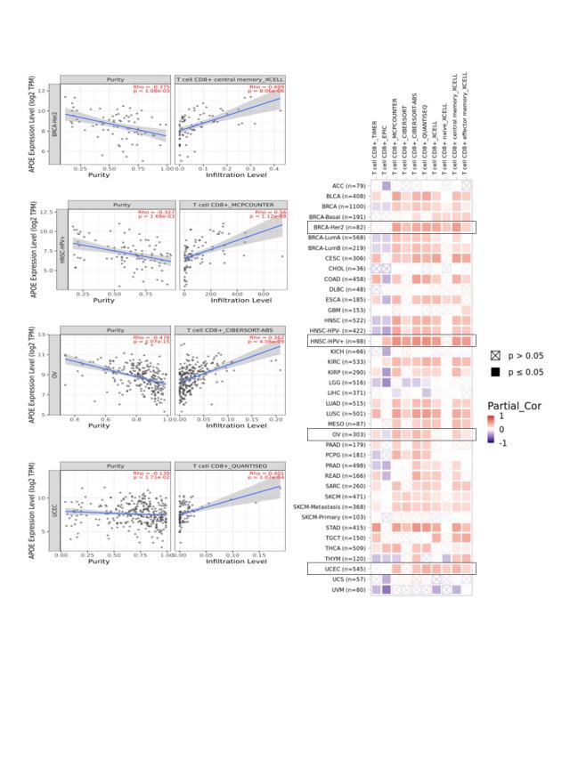 https://cdn.ncbi.nlm.nih.gov/pmc/blobs/f668/10207989/27d4f4f63e7f/OncolRes-30-26141-s008.jpg