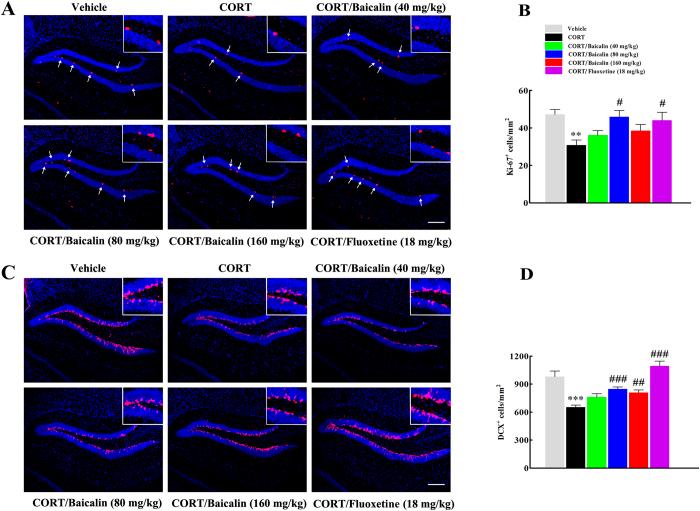 https://cdn.ncbi.nlm.nih.gov/pmc/blobs/f668/4977505/013d1494409e/srep30951-f2.jpg