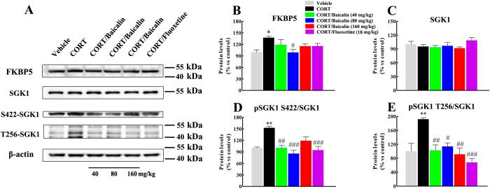 https://cdn.ncbi.nlm.nih.gov/pmc/blobs/f668/4977505/af630d34fecc/srep30951-f4.jpg
