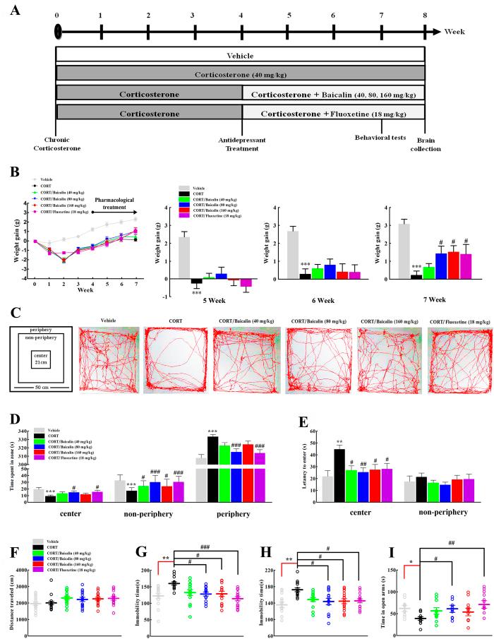https://cdn.ncbi.nlm.nih.gov/pmc/blobs/f668/4977505/b4f69c37a194/srep30951-f1.jpg