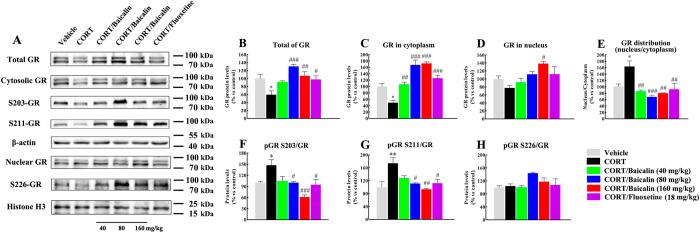https://cdn.ncbi.nlm.nih.gov/pmc/blobs/f668/4977505/f3bbc19e3fd8/srep30951-f3.jpg