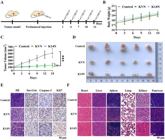 https://cdn.ncbi.nlm.nih.gov/pmc/blobs/f66a/11742431/08184cec630b/MCO2-6-e70068-g005.jpg