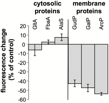 https://cdn.ncbi.nlm.nih.gov/pmc/blobs/f66b/2921155/726bdf9b3736/mbo9991010190004.jpg