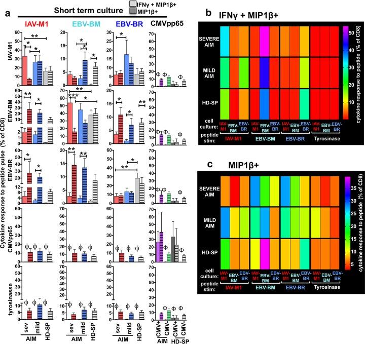https://cdn.ncbi.nlm.nih.gov/pmc/blobs/f66c/5717389/3d3677ef58e3/mbo0061736030007.jpg