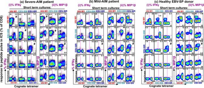 https://cdn.ncbi.nlm.nih.gov/pmc/blobs/f66c/5717389/4da37f7ef934/mbo0061736030005.jpg