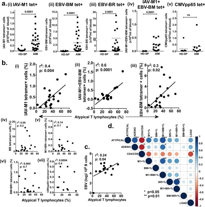 https://cdn.ncbi.nlm.nih.gov/pmc/blobs/f66c/5717389/d54560f25f46/mbo0061736030002.jpg