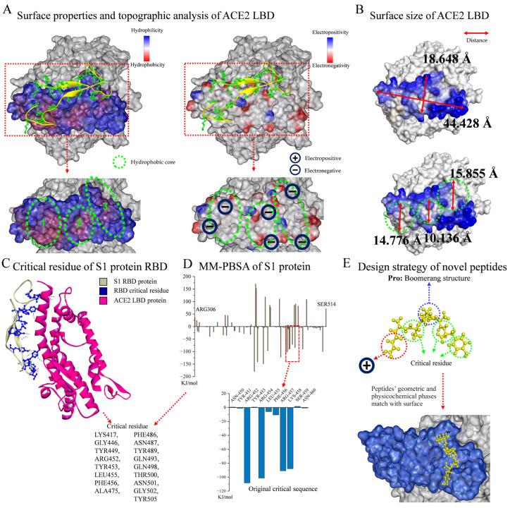 https://cdn.ncbi.nlm.nih.gov/pmc/blobs/f66f/11242946/31411b305053/molecules-29-03022-g001.jpg