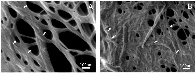 https://cdn.ncbi.nlm.nih.gov/pmc/blobs/f671/6571874/38dc9cf4b672/polymers-11-00873-g003.jpg