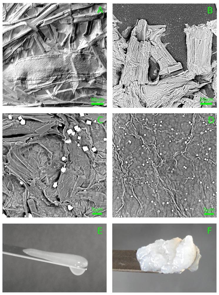 https://cdn.ncbi.nlm.nih.gov/pmc/blobs/f671/6571874/c647558ce8a1/polymers-11-00873-g001.jpg