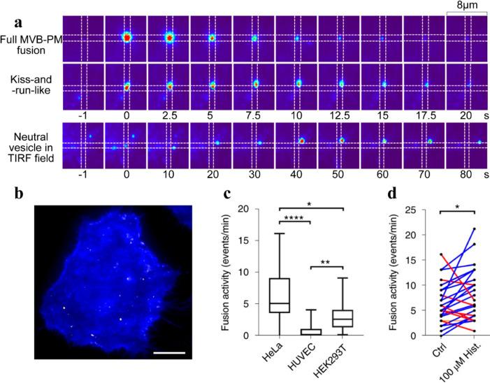 https://cdn.ncbi.nlm.nih.gov/pmc/blobs/f673/11504620/76b3ffa75506/im3c00095_0004.jpg