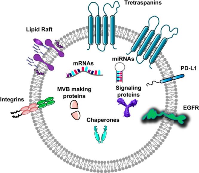 https://cdn.ncbi.nlm.nih.gov/pmc/blobs/f673/11504620/92f1002651d9/im3c00095_0001.jpg