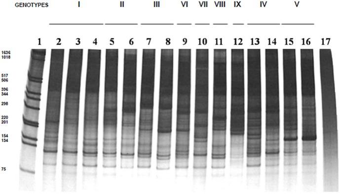 https://cdn.ncbi.nlm.nih.gov/pmc/blobs/f674/3422226/4b14d516eaf4/pone.0043363.g001.jpg