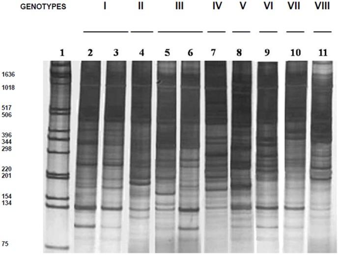 https://cdn.ncbi.nlm.nih.gov/pmc/blobs/f674/3422226/5868f901d5f4/pone.0043363.g002.jpg