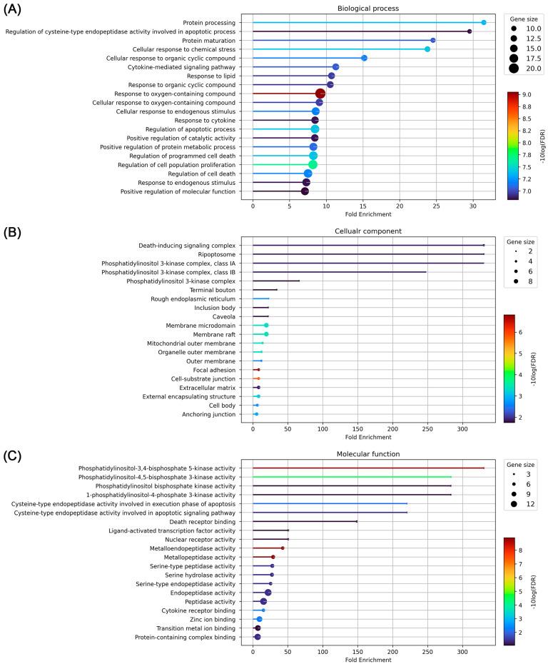 https://cdn.ncbi.nlm.nih.gov/pmc/blobs/f677/10526905/3b0f30b1d942/biomolecules-13-01322-g007.jpg