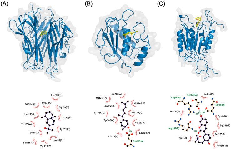 https://cdn.ncbi.nlm.nih.gov/pmc/blobs/f677/10526905/6dd486e06129/biomolecules-13-01322-g009.jpg